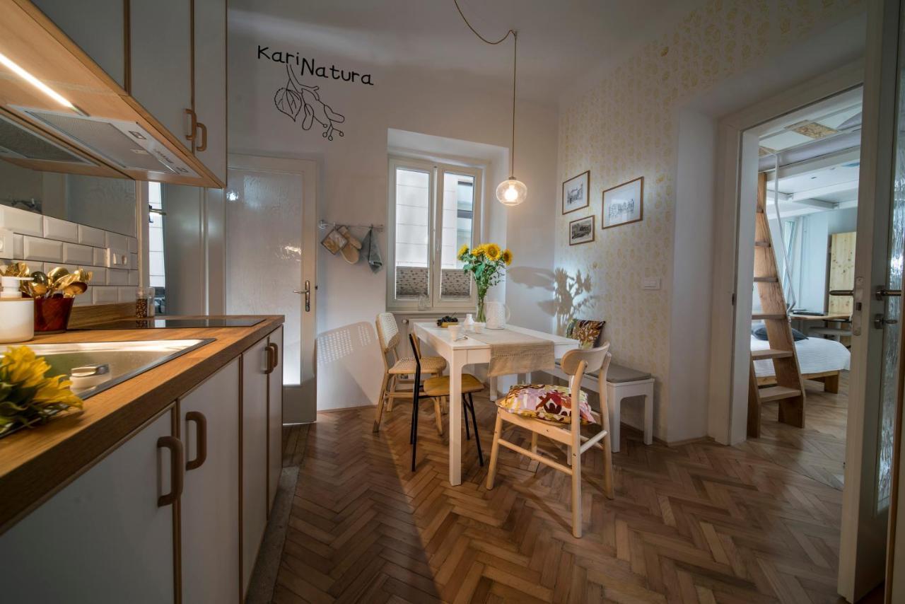 Karinatura Ljubljana Ngoại thất bức ảnh